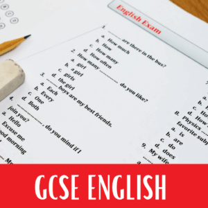 GCSE English Support