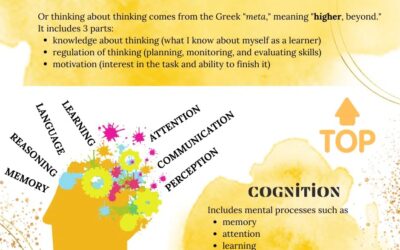 Metacognition